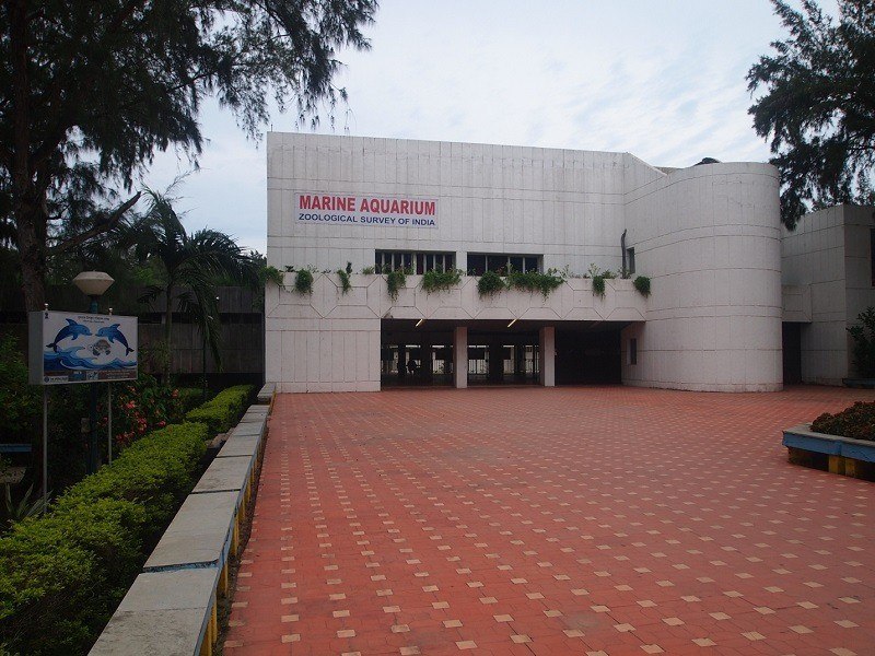 Marine Aquarium and Regional Centre